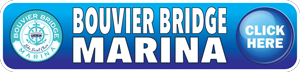 A blue banner with the words " javier bravo marino ".